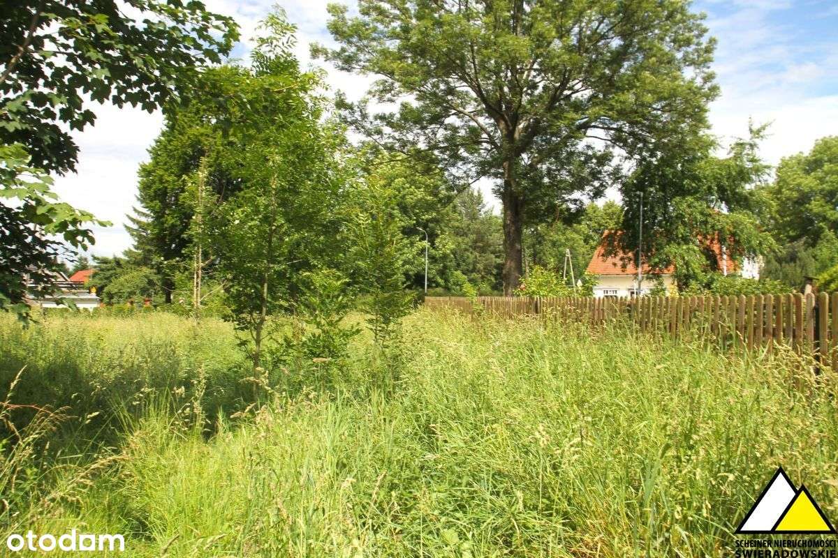 Działka blisko Świeradowa - Pełny obrazek: 5/13