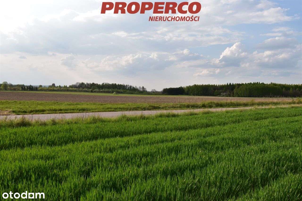 Działka, 1250 m2, Wielebnów, gm. Łopuszno, Wz - Pełny obrazek: 4/4