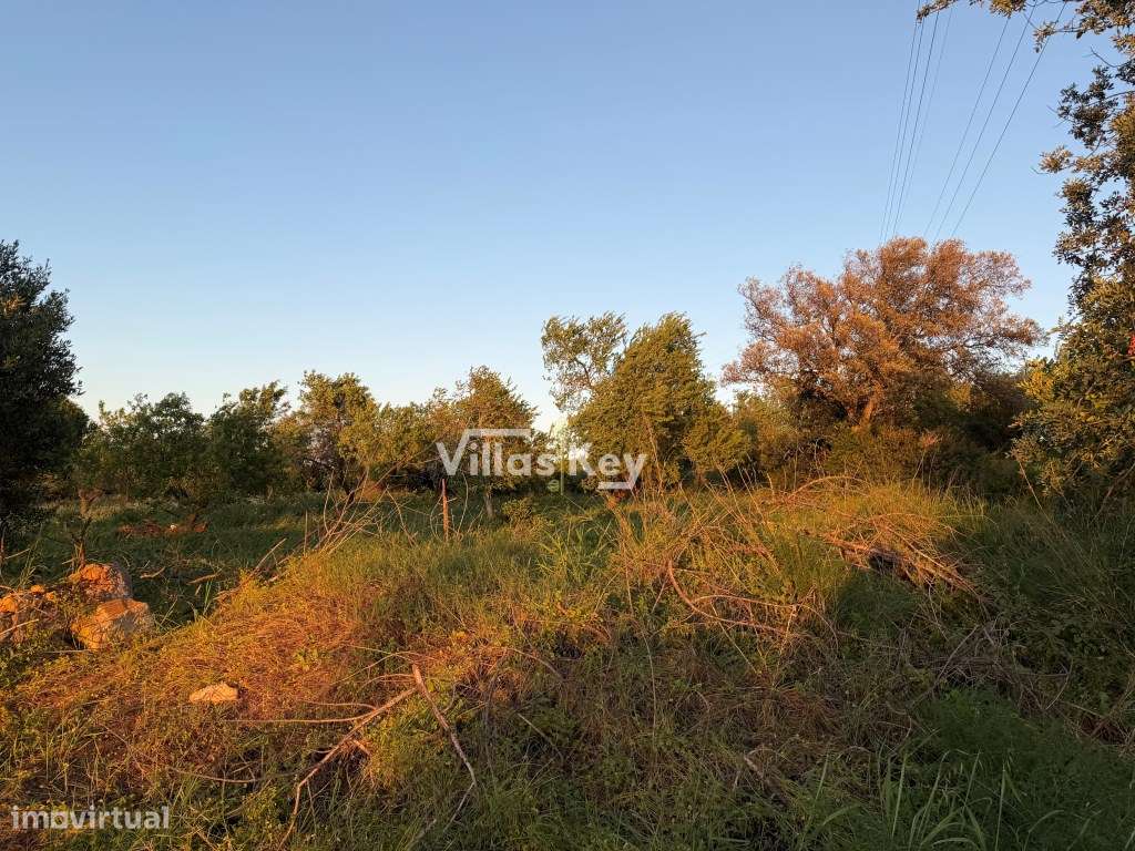 Terreno rústico com terra fértil para agricultura, tanque,nora,bons...-10