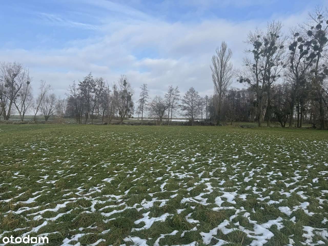 działka 1,2ha pod  budowę domu /firmy/inwestycje - Pełny obrazek: 2/7