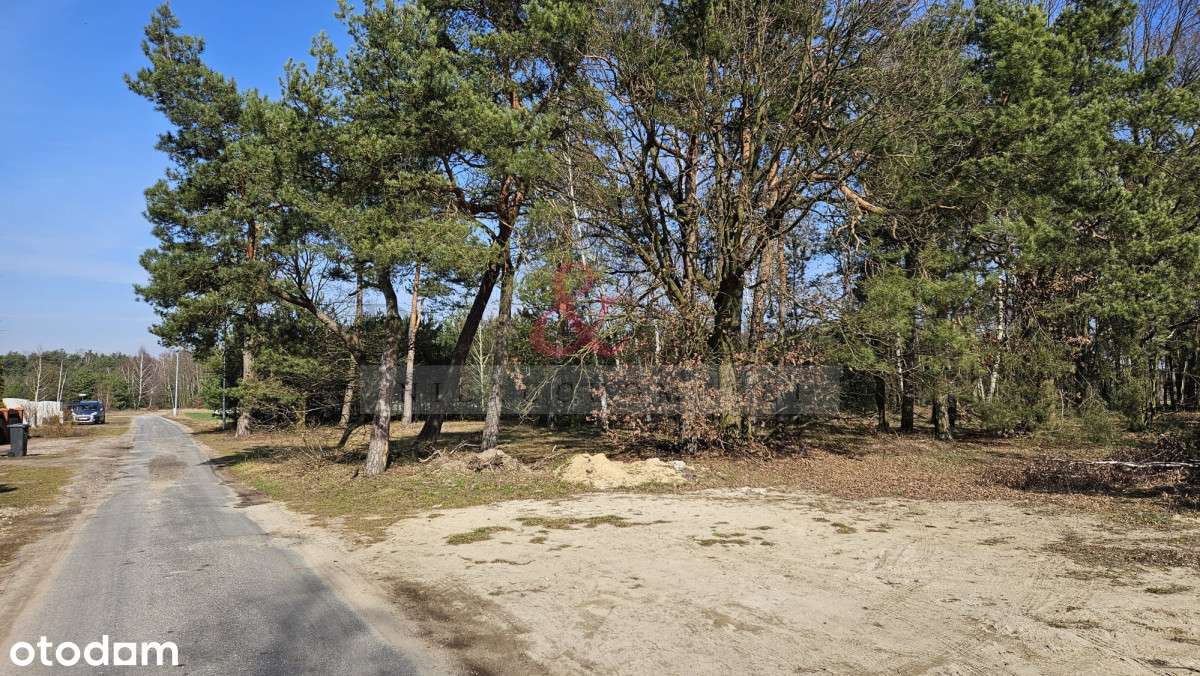Działka budowlana z lasem! - Pełny obrazek: 4/8