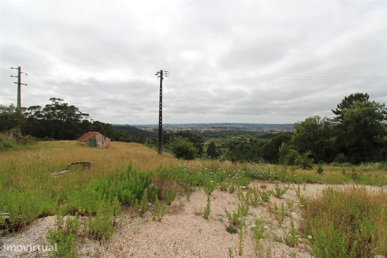 Terreno para construção - Évora de Alcobaça / Alcobaça - Grande imagem: 4/4