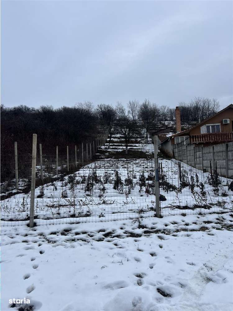 RECO teren intravilan Oradea-0