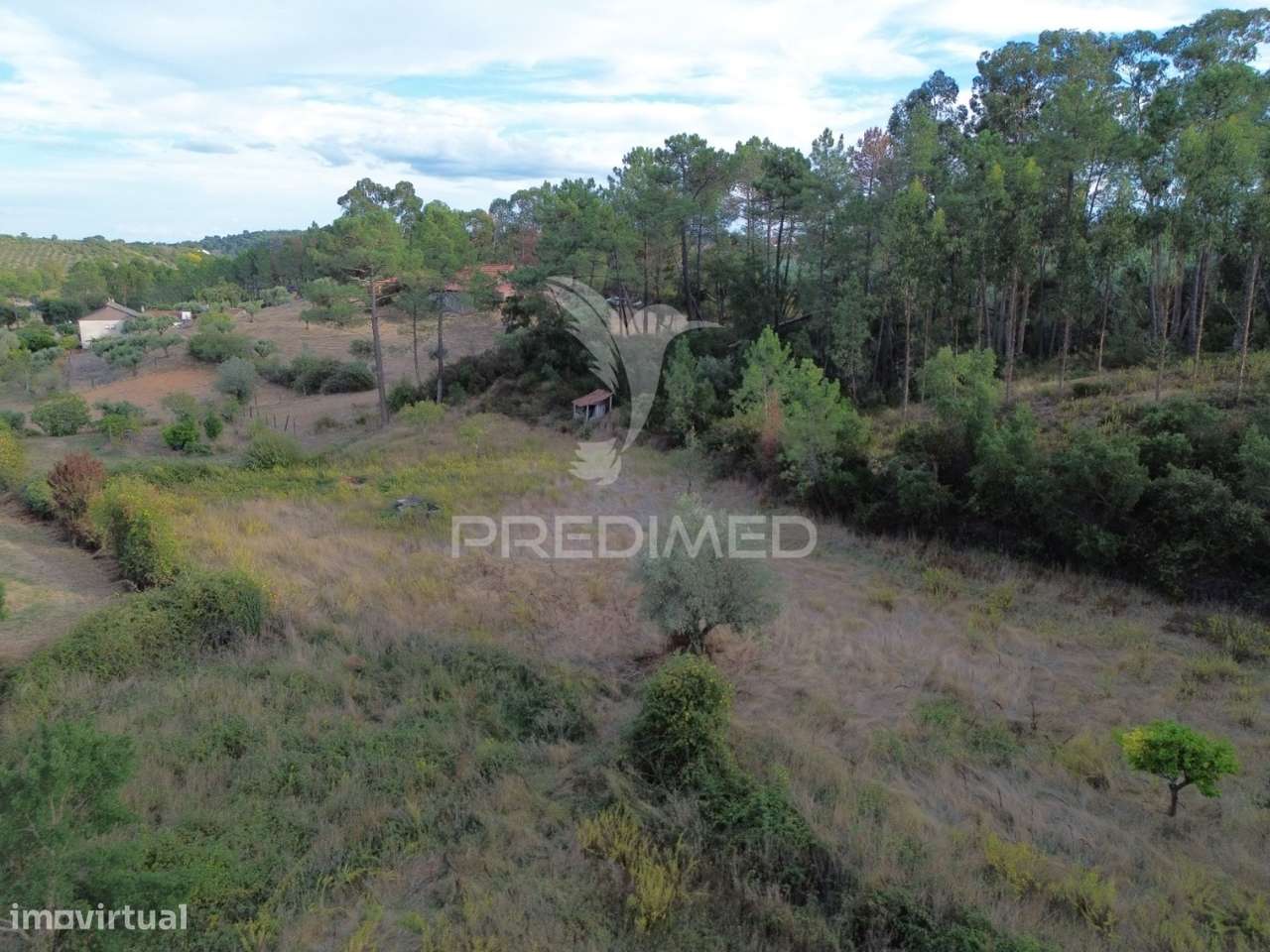 Terreno Rústico com 5.160 m² — Arneiro das Milhariças, Santarém - Grande imagem: 5/25