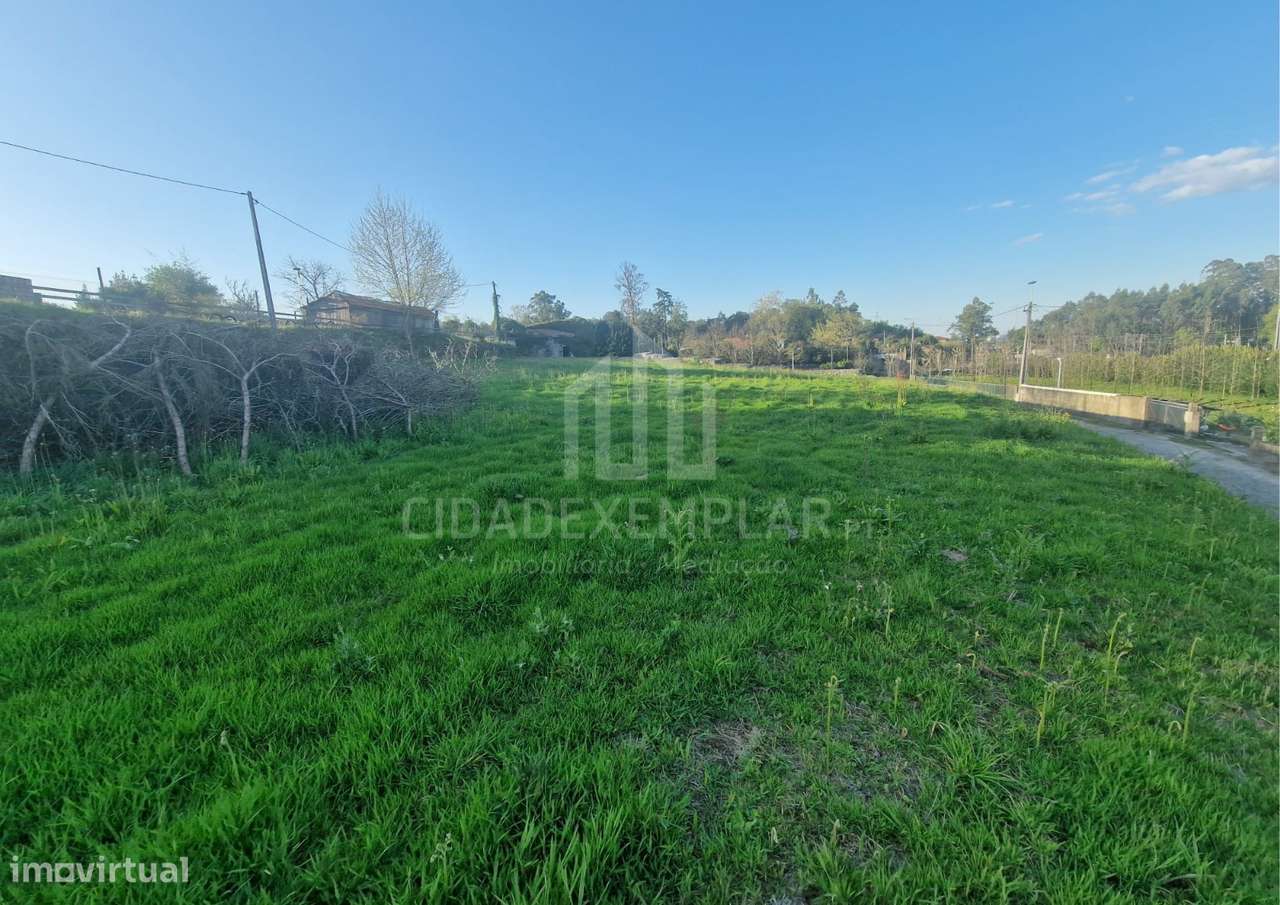 Terreno e Casa em Ruínas para Construção – Irivo, Penafiel-11