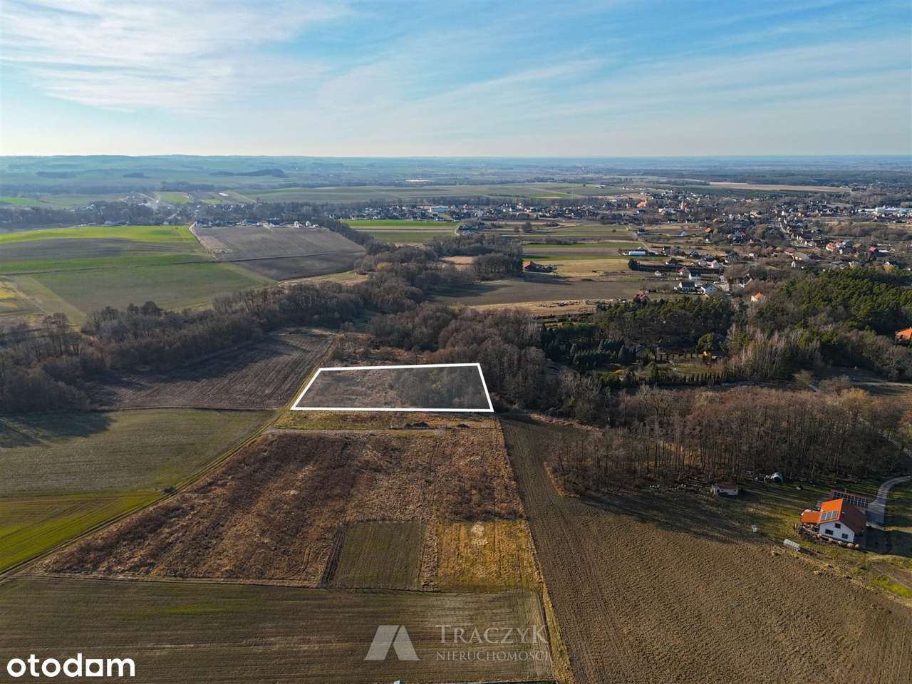 z własnym lasem,prąd,noweosiedle,Zawonia4min - Pełny obrazek: 5/13