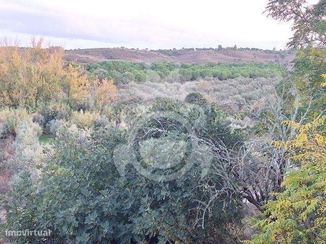 Terreno de 6,1 ha com Ruína-5