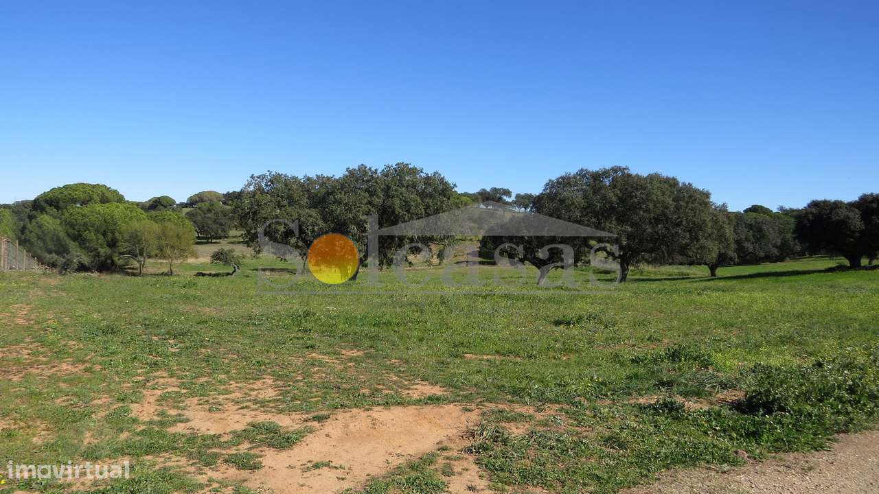 Quinta perto de Alcácer do Sal-12