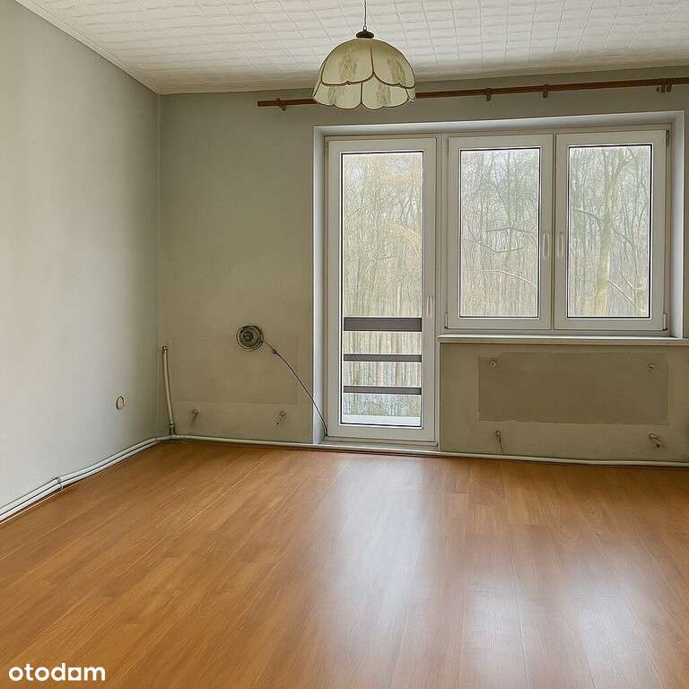 Mieszkanie w lesie - do remontu-3