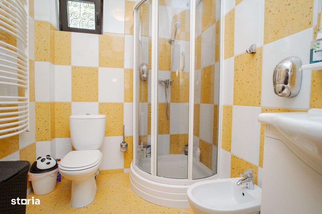 Vila Grandioasa 650 mp+Spatiu Comercial 110 mp Tatarasi Teren 968 mp-12