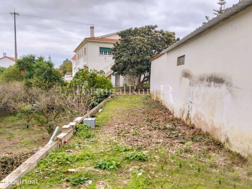 Quinta com 13.000 m² e 3 Moradias no Cartaxo, Póvoa da Isenta-23
