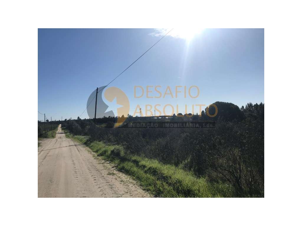 Terreno Rustico - Poceirão - Grande imagem: 5/5