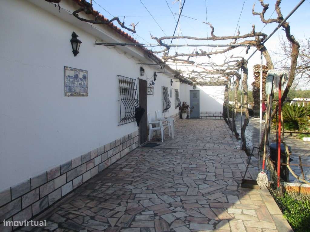 Quinta com 5ha em Elvas - Grande imagem: 4/36