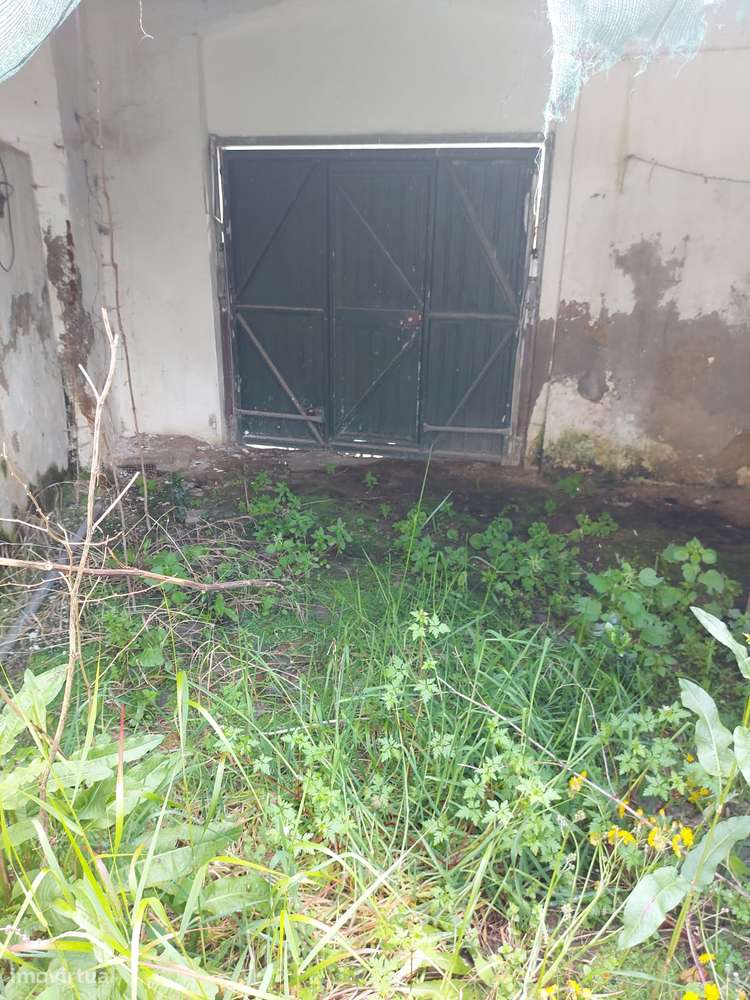 Moradia Geminada T5 (em estado de Ruina) - Cuba - Grande imagem: 4/14