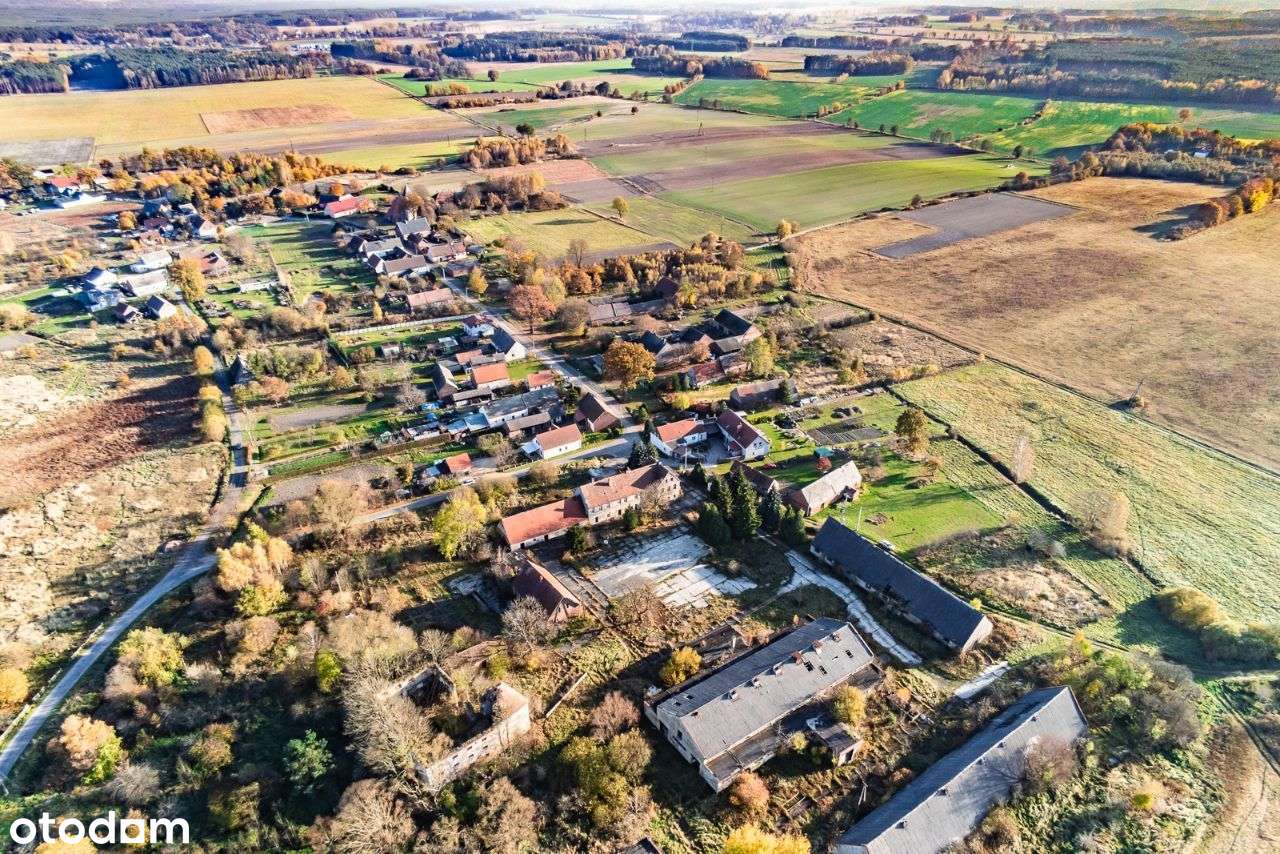 Działka z Domem - Białowice ok 4000 m2-1