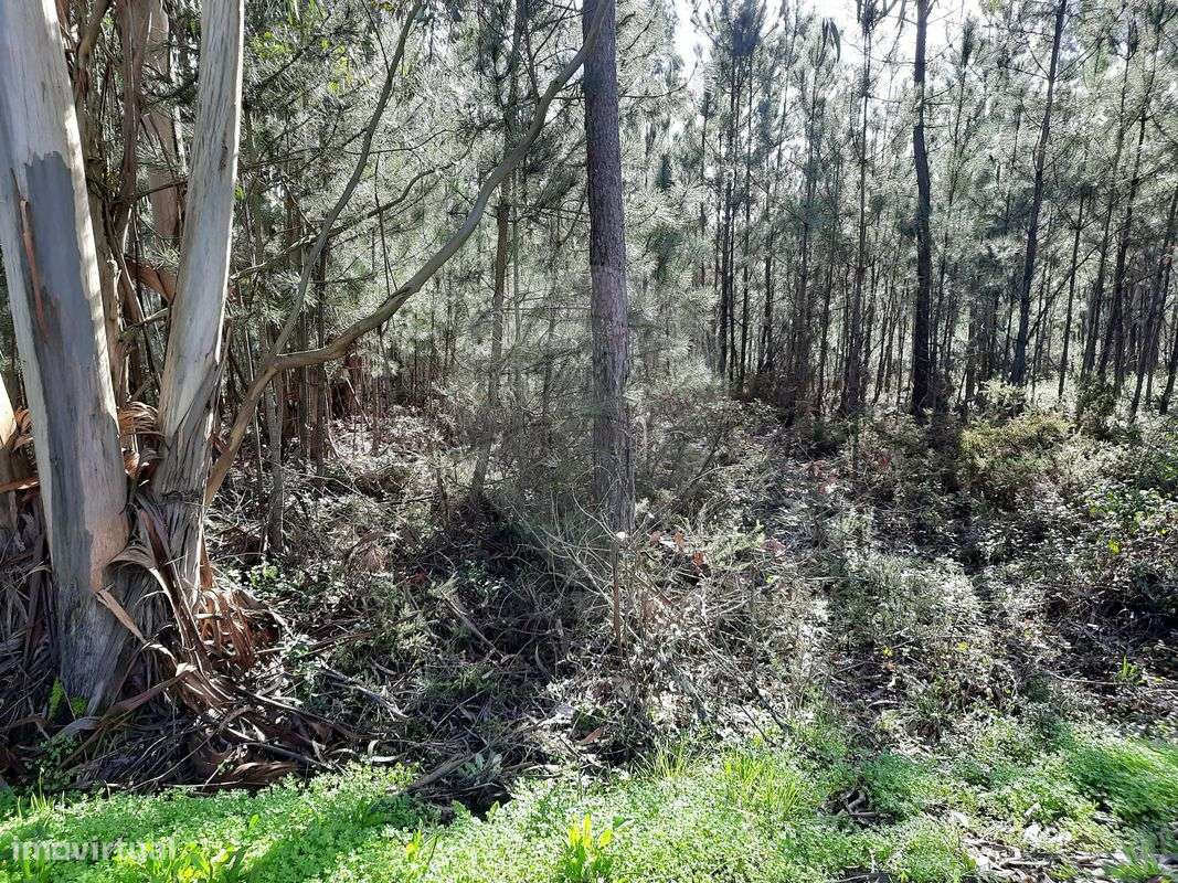 Terreno  para venda - Grande imagem: 2/3