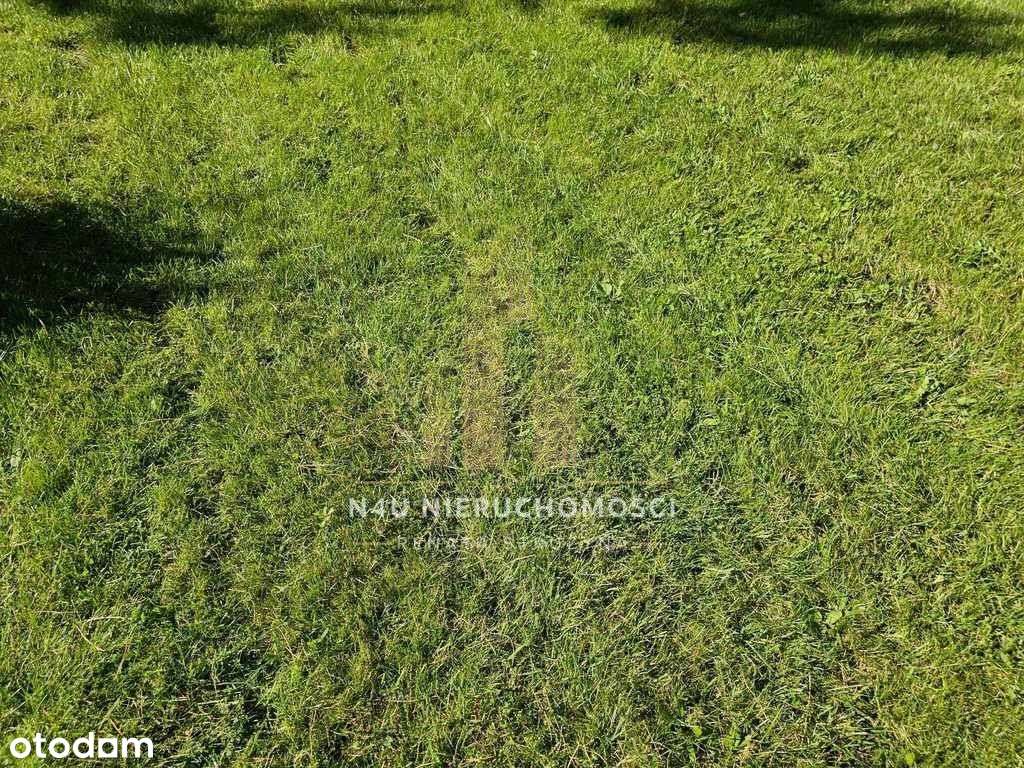 Media Mpzp 1 km od Szkoły Kanalizacja-0