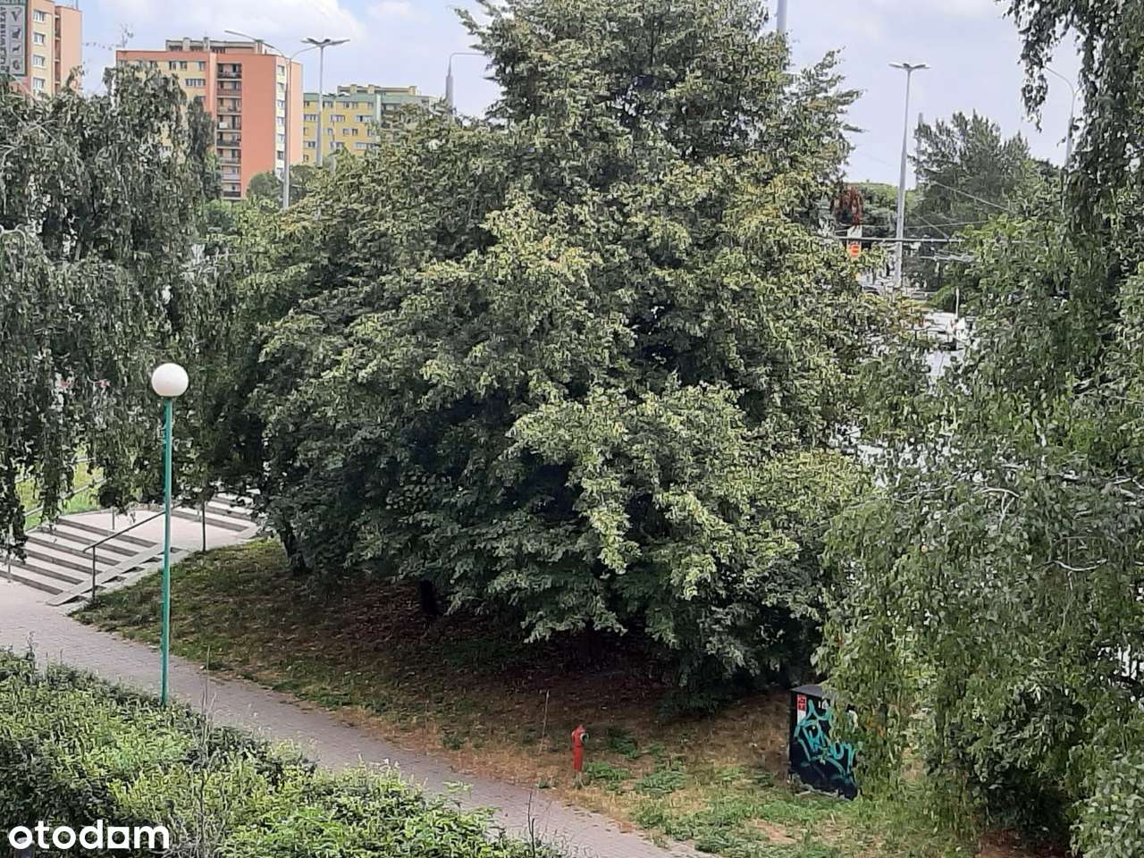 Mieszkanie na sprzedaż Przyjaźni do remontu - Pełny obrazek: 3/19