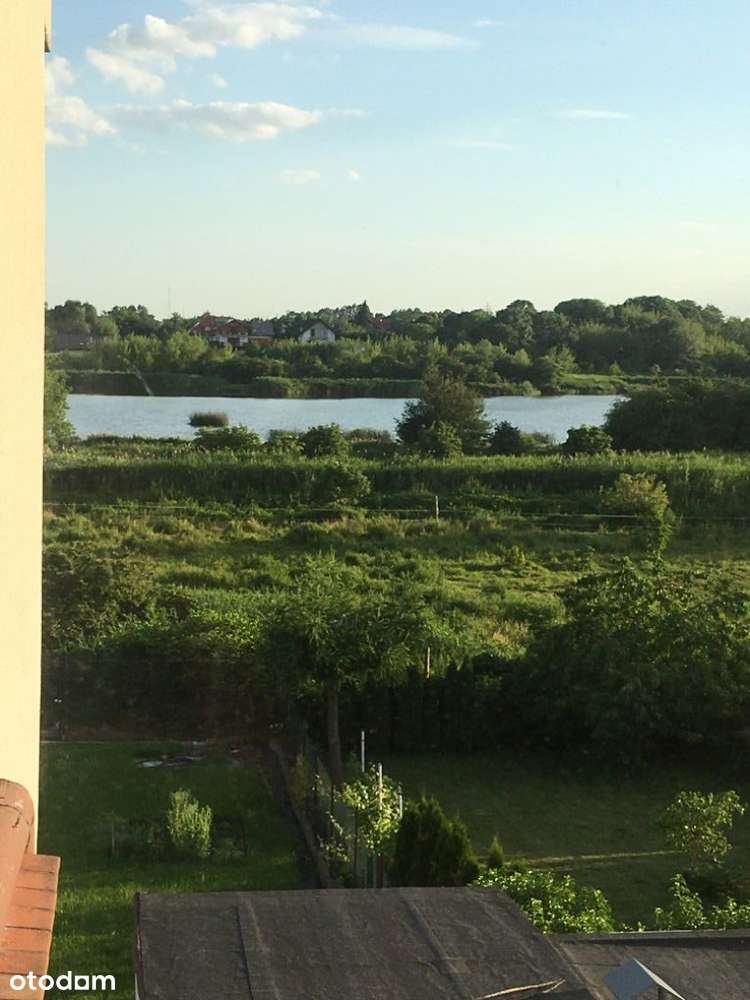 Górczyn*B.DUŻY POKÓJ widok JEZIORO*konie - Pełny obrazek: 5/12