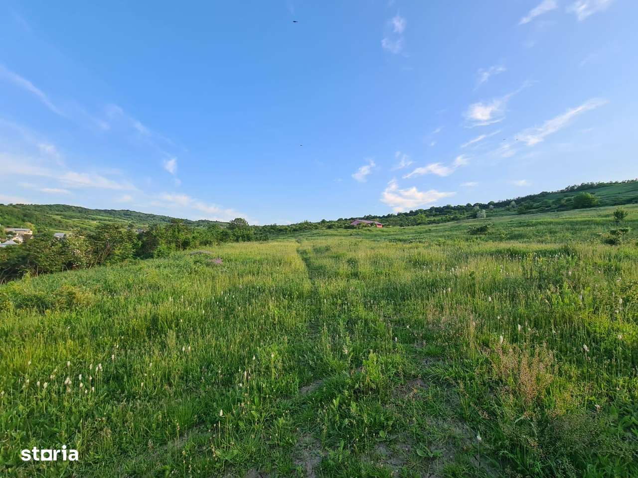 Lot teren pentru casa in Vladiceni Calea Chișinăului Tomesti - Imagine principală: 5/10