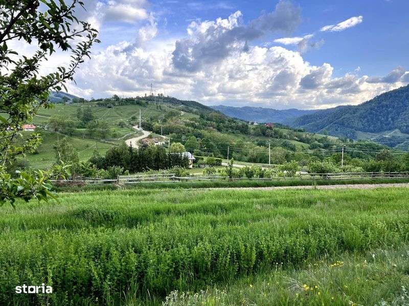 Teren pentru Cabana / ~4000 M2 / In apropiere de Transalpina - Imagine principală: 5/8