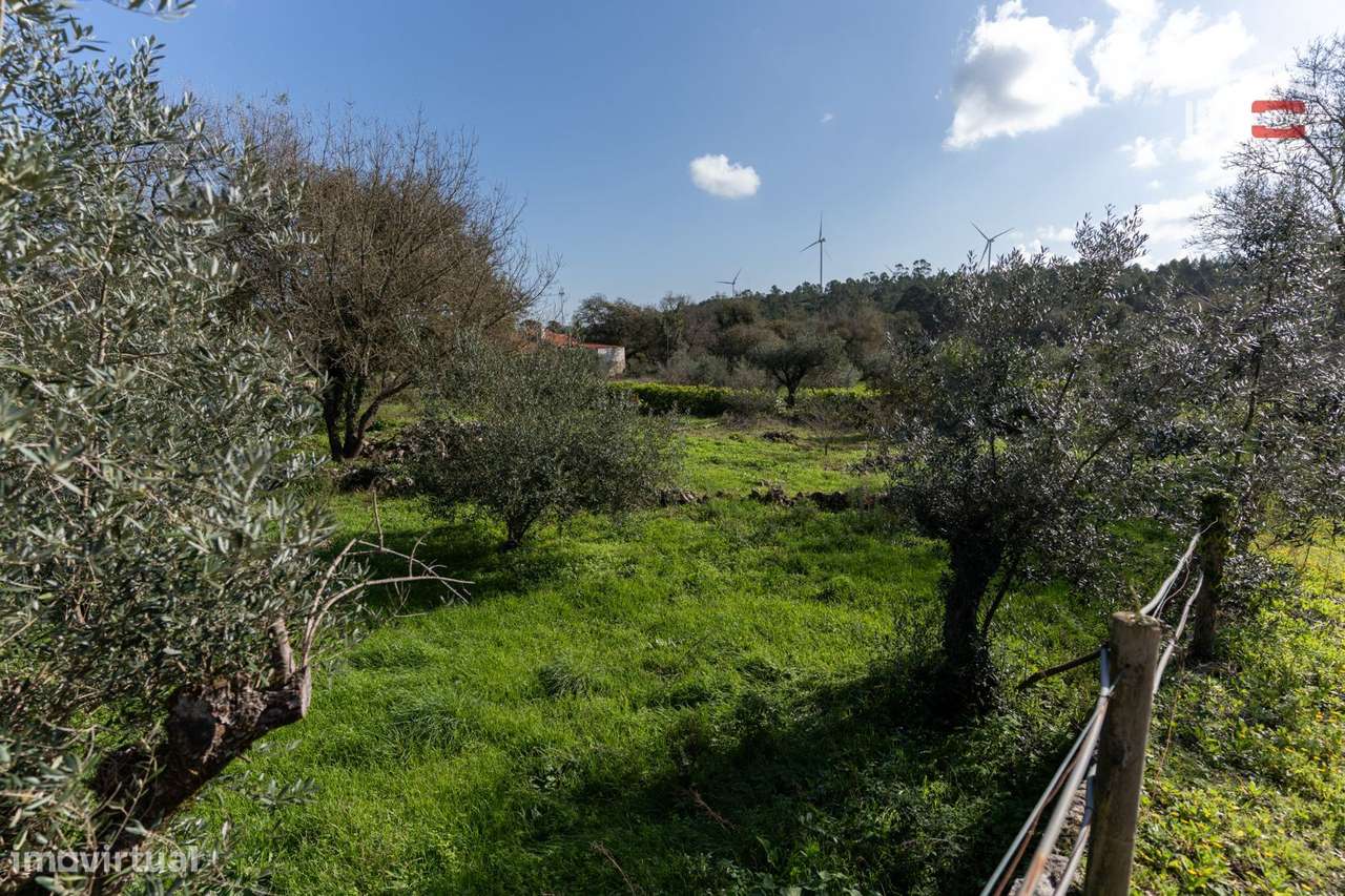 TERRENO PARA CONSTRUÇÃO COM AREA DE 1460 M2 EM ALDEIA DA PIA DURSO ... - Grande imagem: 4/11