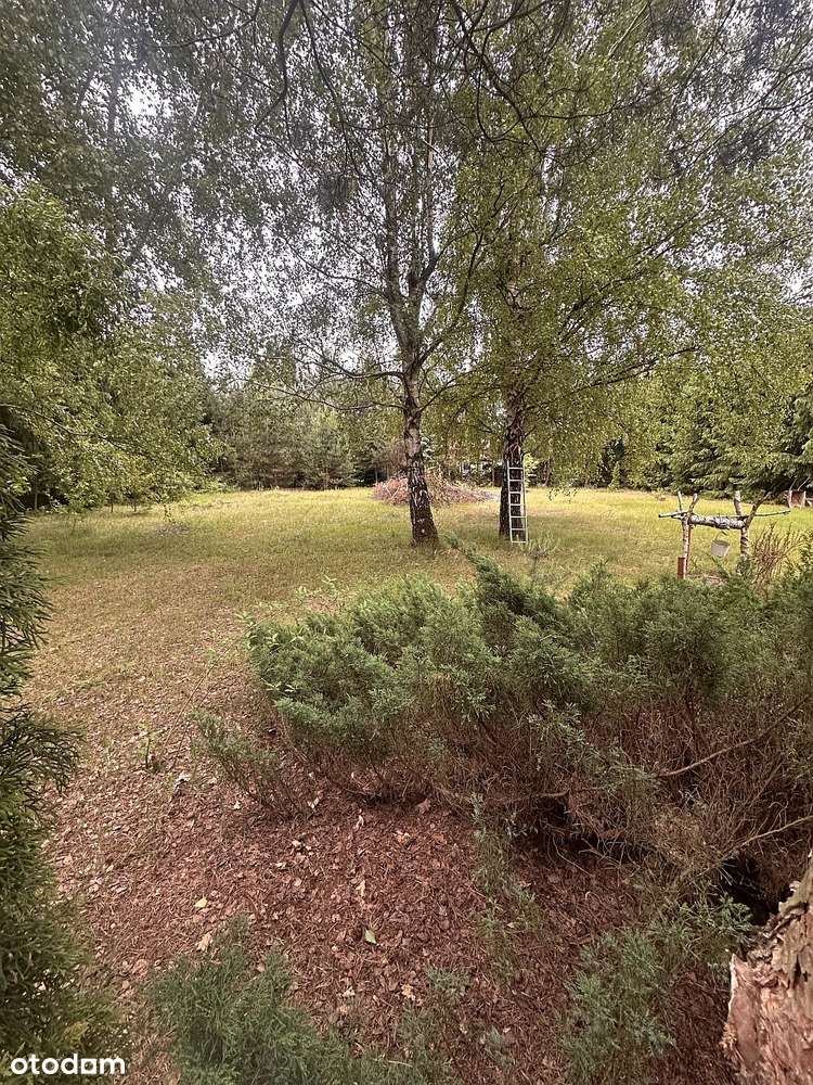 Kontrewers - wsród lasów i spokoju - ogrodzona działka z wodą i prądem - Pełny obrazek: 4/8