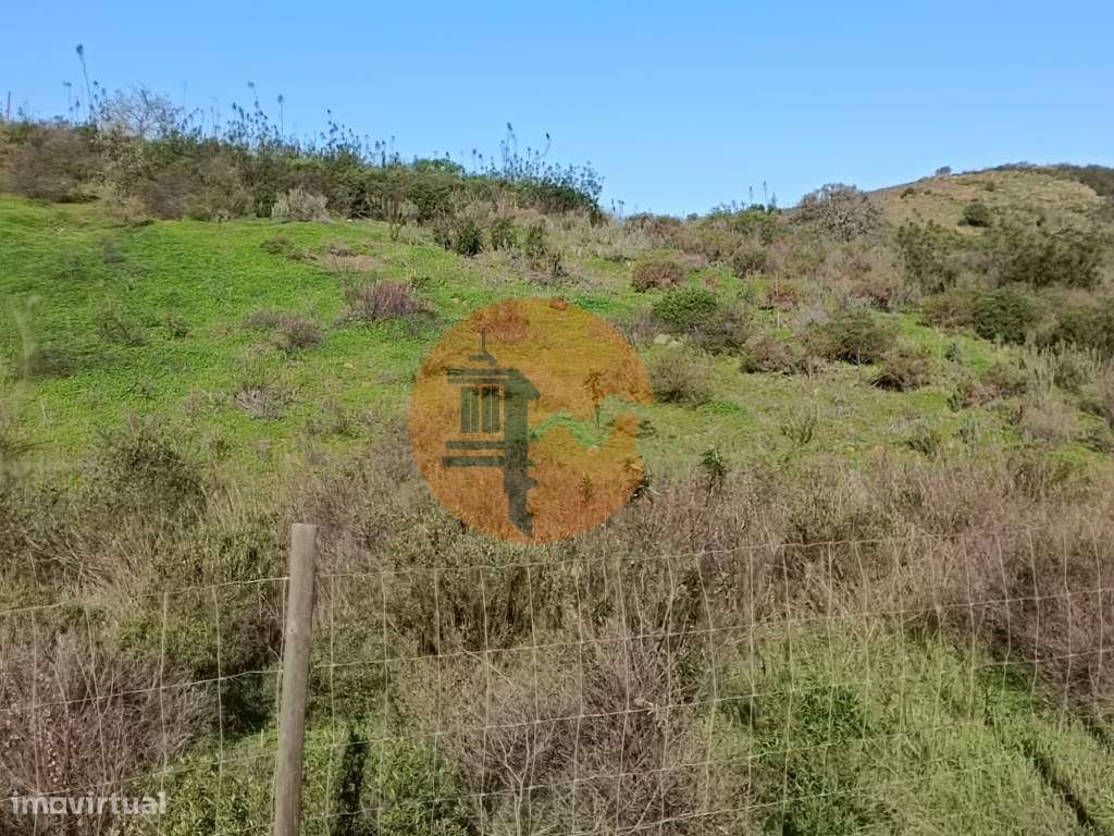 TERRENO COM 12.180 M2 - COM LICENÇA PARA FURO - PEDRA ARRANCADA - A... - Grande imagem: 4/24