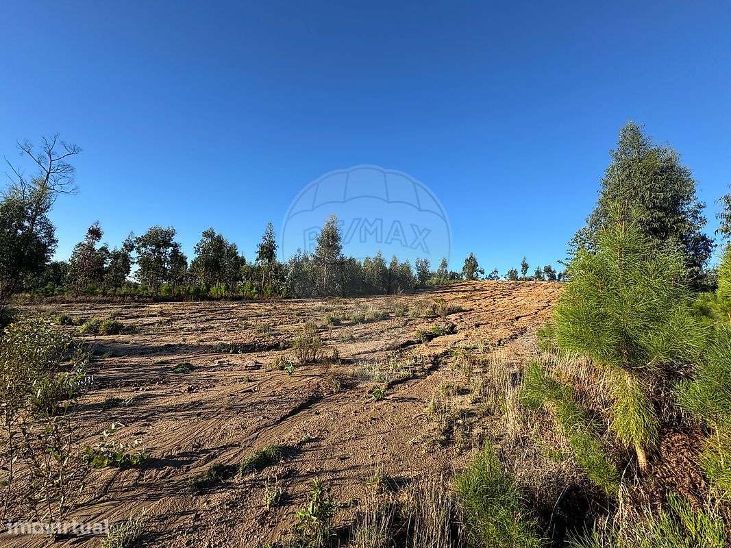 Terreno  para venda - Grande imagem: 5/20