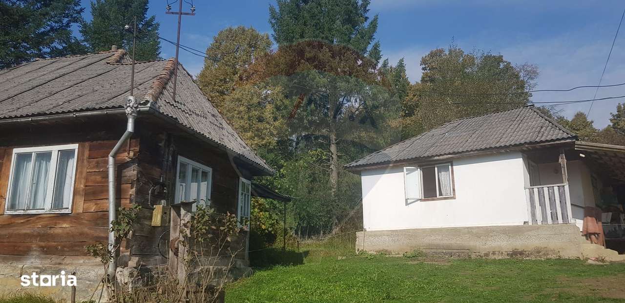 Casă si teren 1.6 ha de vânzare, în Rona de Jos-0