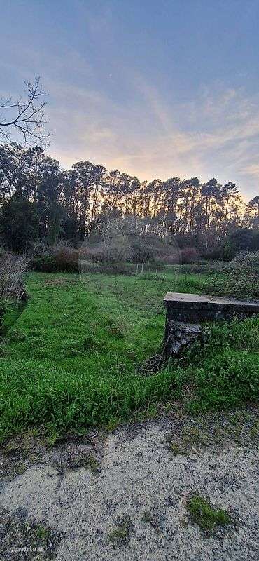 Terreno  para venda - Grande imagem: 4/4