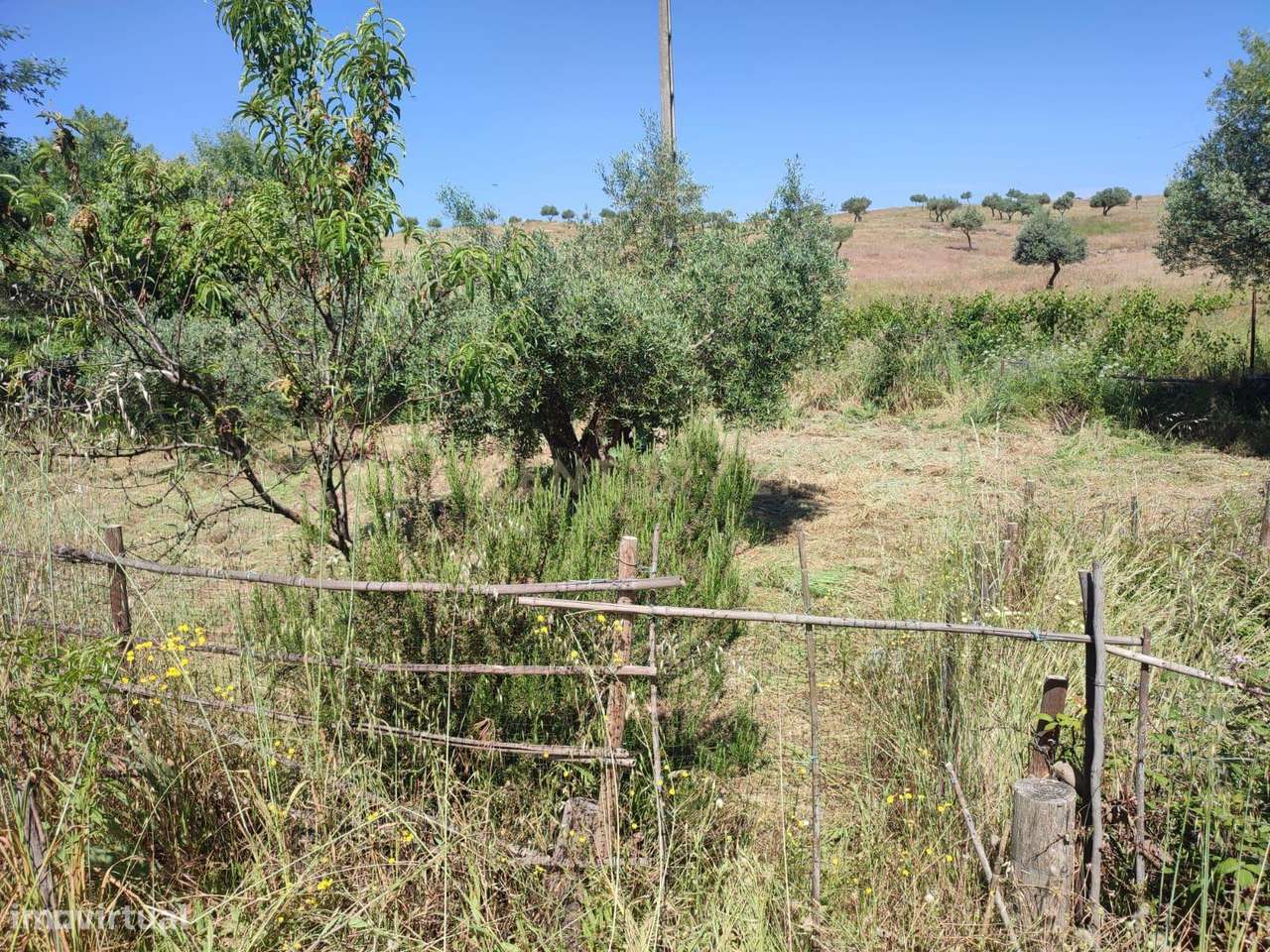 Terreno com água, Aldeia de Santa Margarida - Grande imagem: 2/8