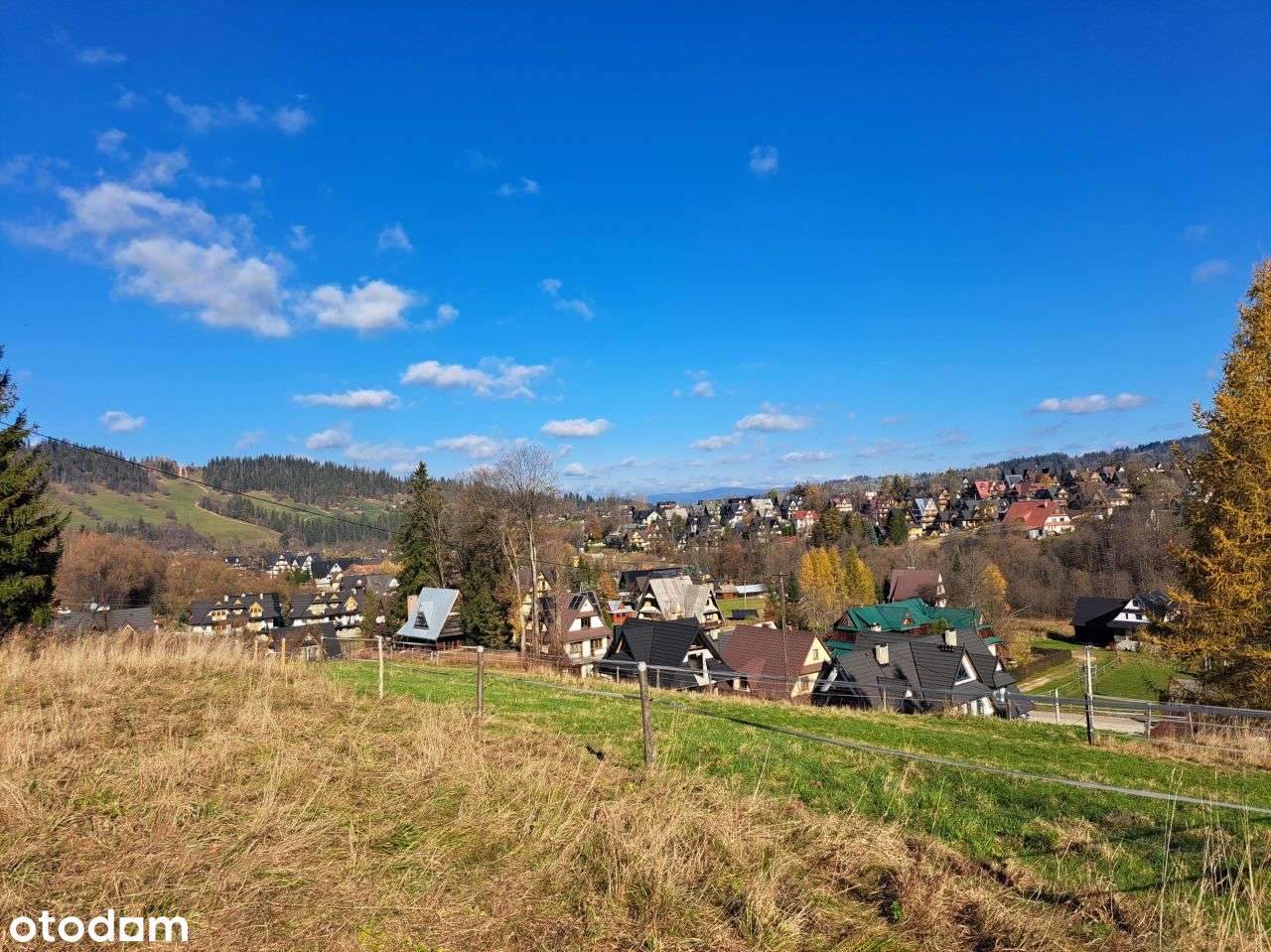 Budowlana działka o powierzchni 2500m2-1
