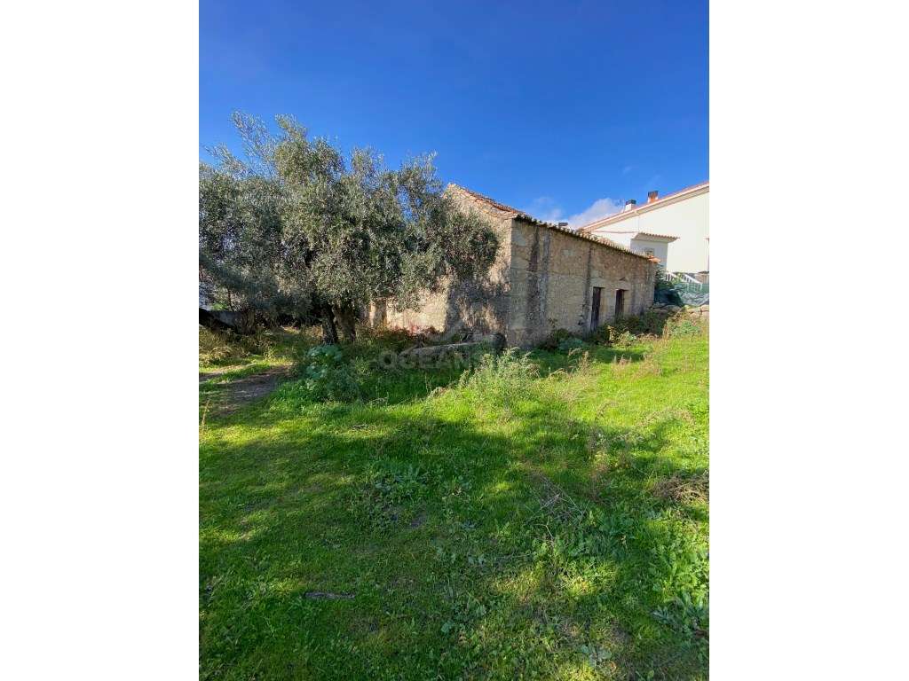 Moradia independente com 500 m2 área bruta-15