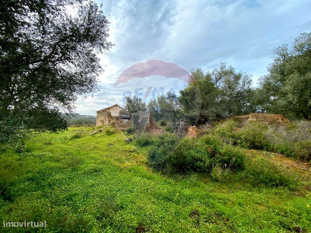 Terreno  para venda - Grande imagem: 4/16