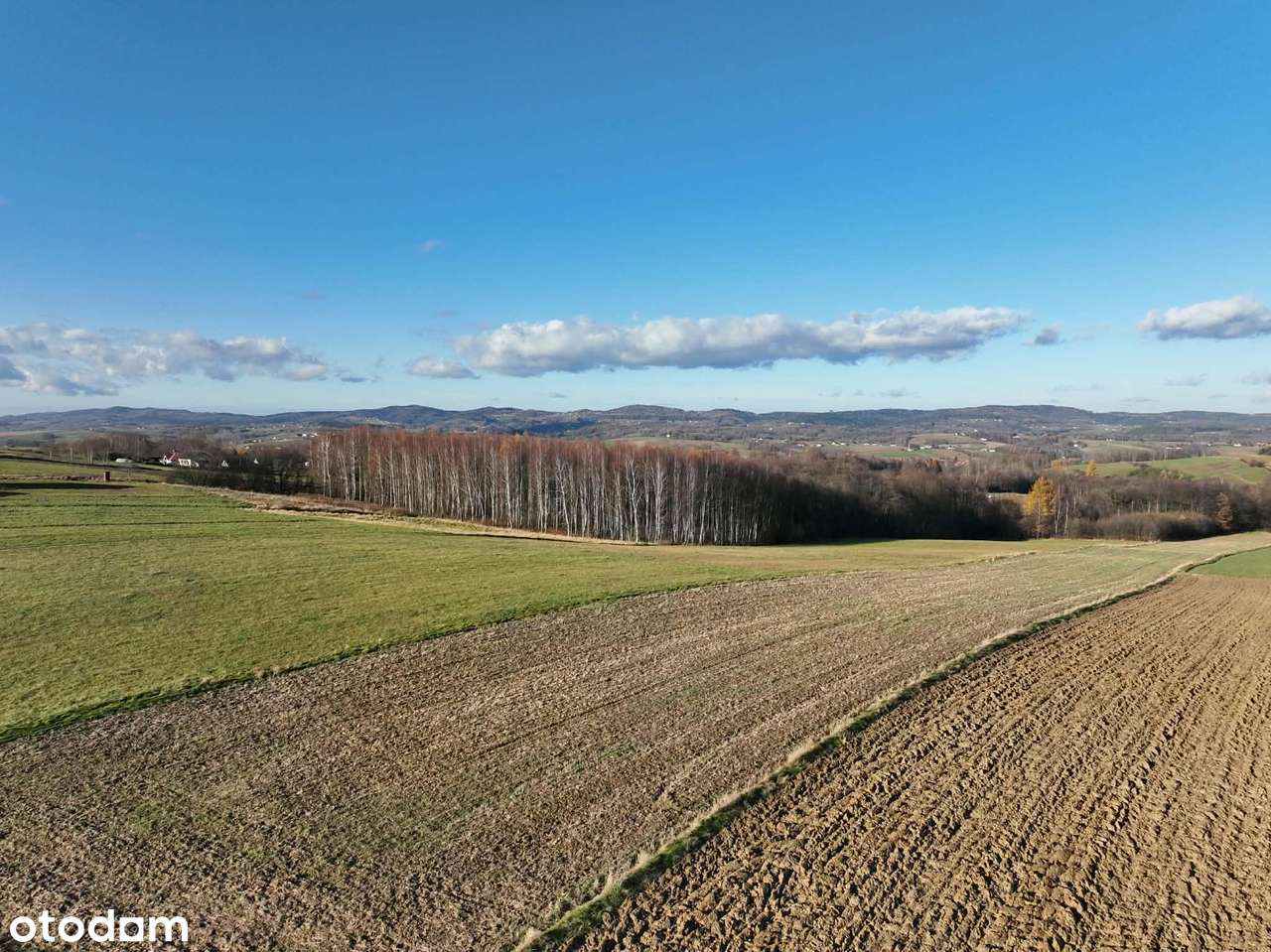 Ponad 1,5 ha działka w Ołpinach gm. Szerzyny-2