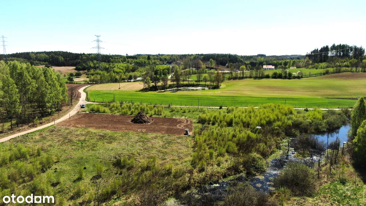 Działka 1983 m² z WZ, przy lesie, media w drodze - Pełny obrazek: 5/6