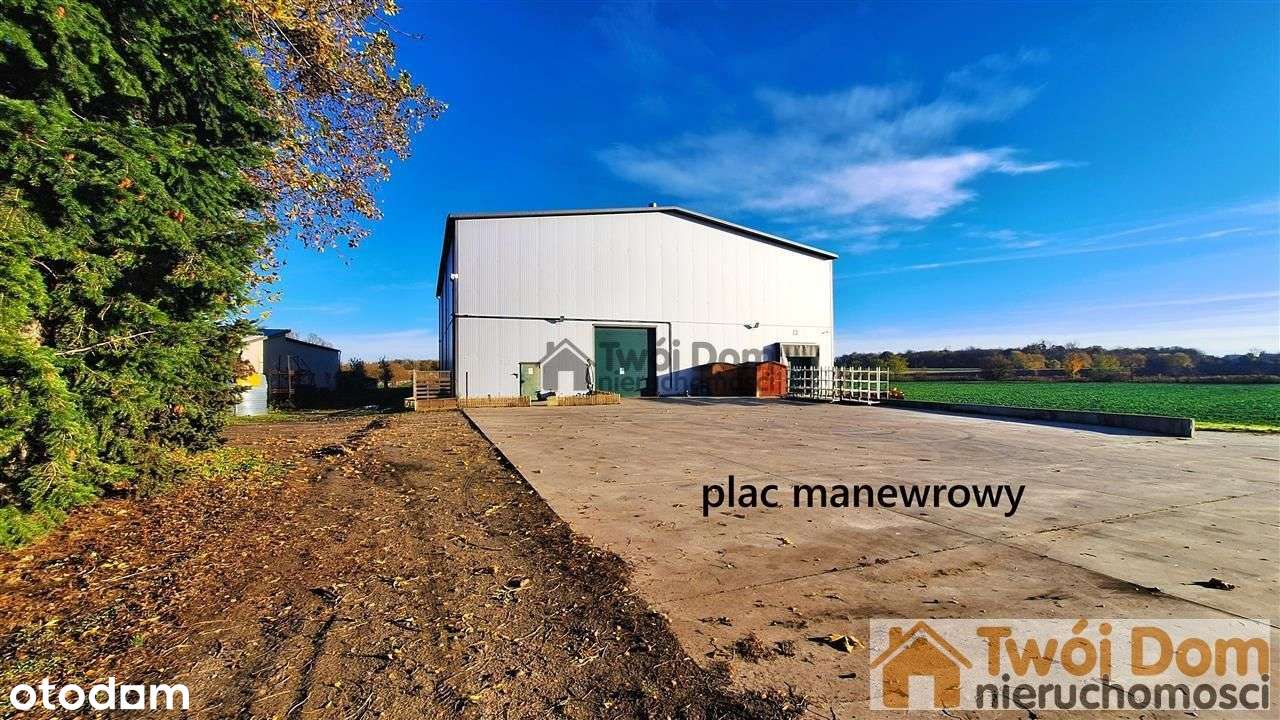 Hala 700 m2 z chłodniami przy Aow Mokronos Dolny - Pełny obrazek: 4/14