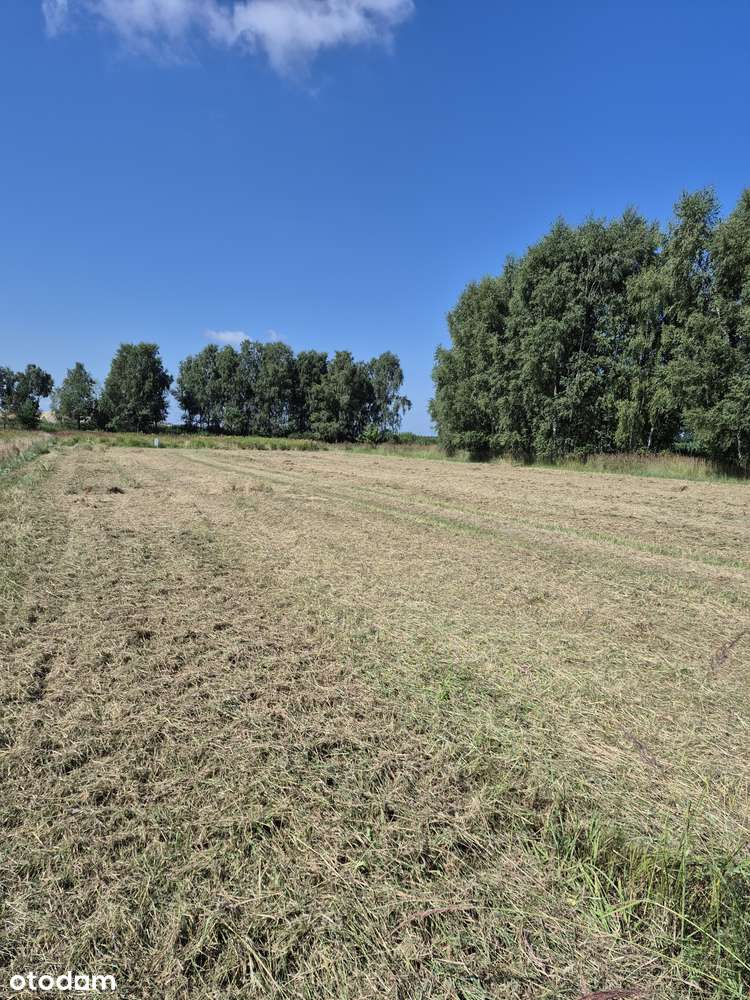 Działki Budowlane z Warunkami Zabudowy - Lędziny Goławiec - Pełny obrazek: 5/7