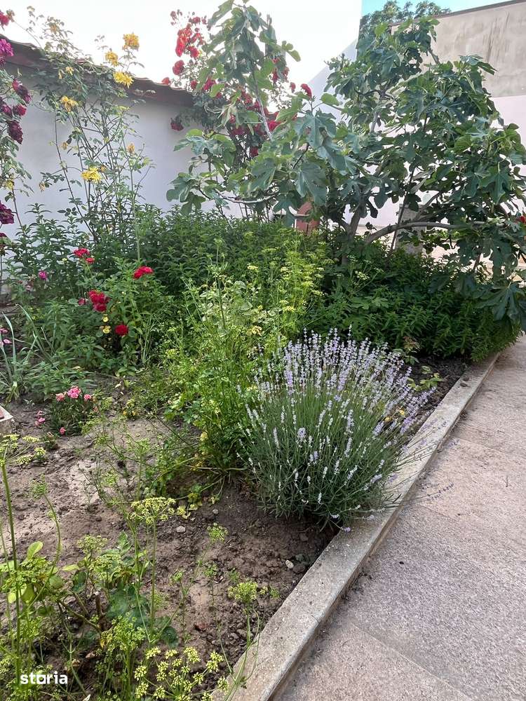 Casă zona ultracentrală - Imagine principală: 4/13