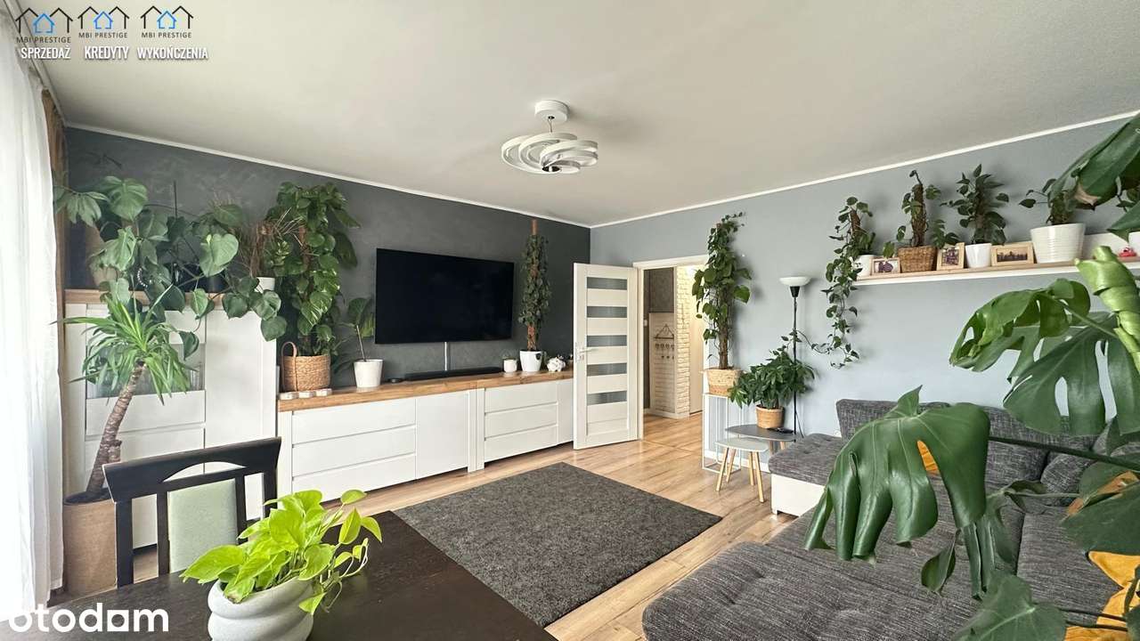 Słoneczne Mieszkanie na sprzedaż - Gdańsk Chełm-0