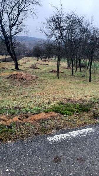 Teren intravilan - Imagine principală: 4/5