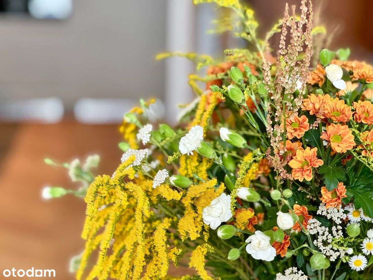 ✅ 2 pokojowe ✅ wysokie 7 piętro ✅ ciche ✅ parking✅-17