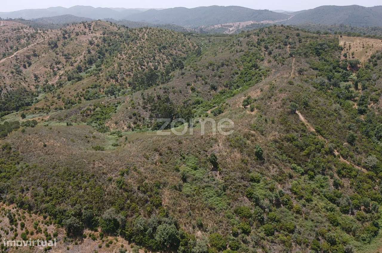 Terreno Rústico em Vale Bezerra, São Marcos da Serra c/ 6.2 hectare... - Grande imagem: 4/16