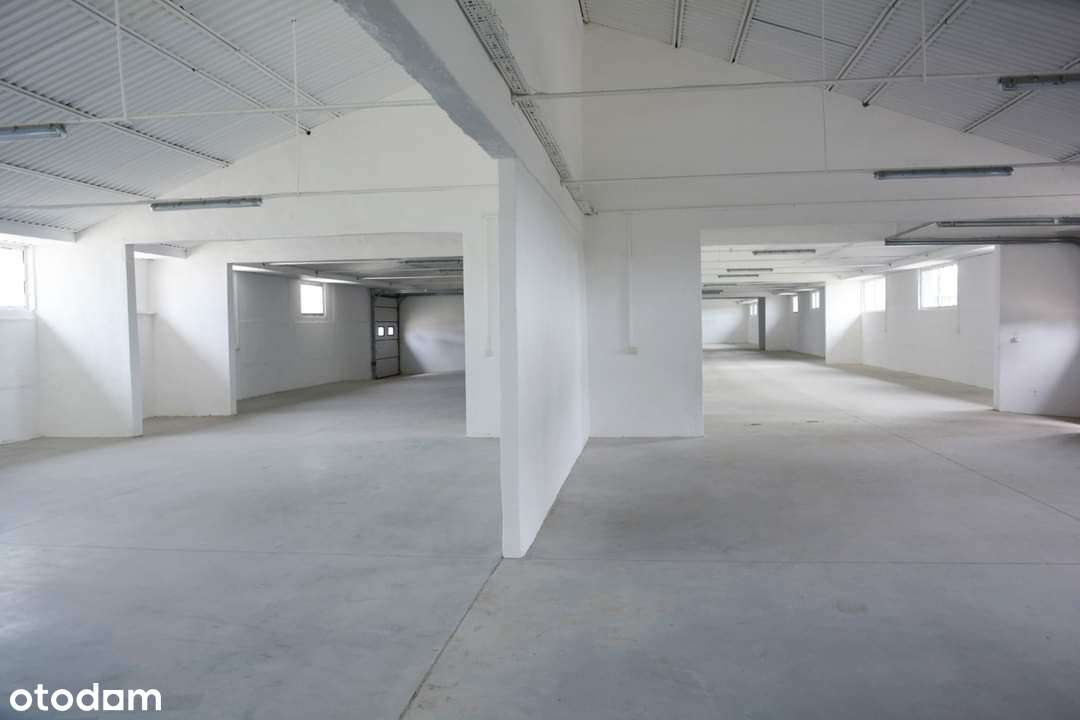 Magazyn do wynajęcia, hala, hale magazynowe - Pełny obrazek: 5/7