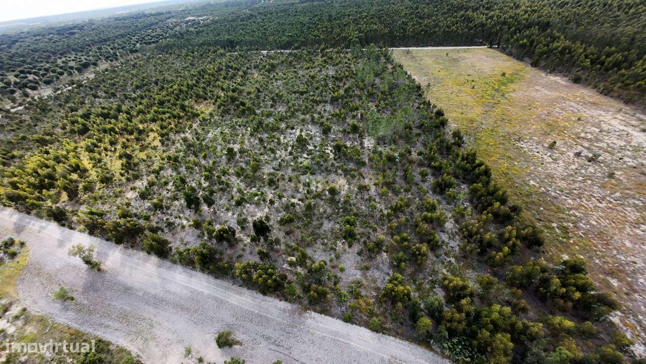 Magnifica Herdade Turística   em Santo Estêvão, Benavente-10