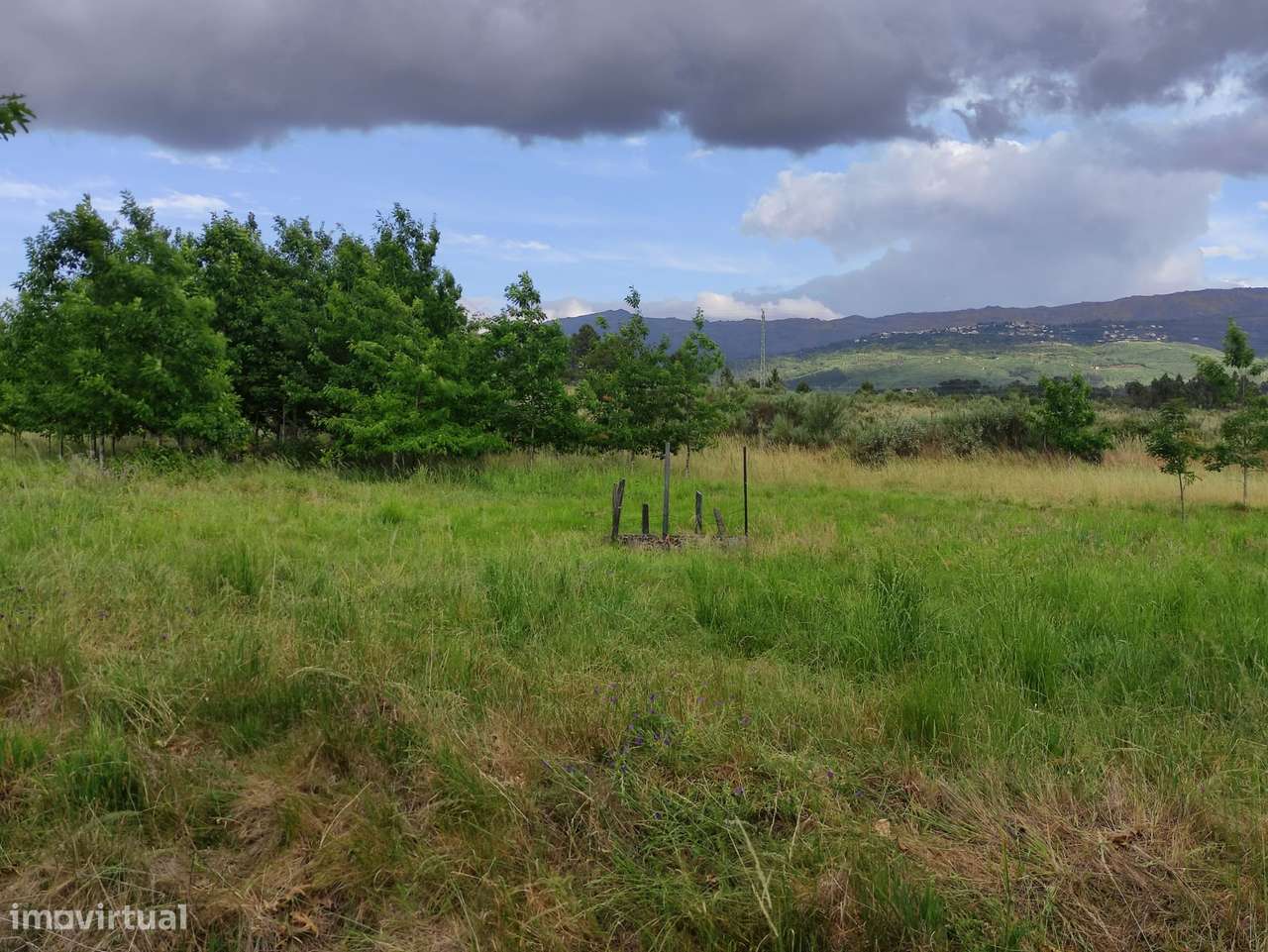 Quinta  Venda em Melo e Nabais,Gouveia - Grande imagem: 3/15
