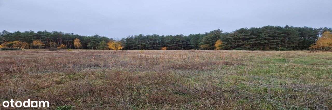 Malownicza działka 1200 m2 w Cegielniku! - Pełny obrazek: 4/5