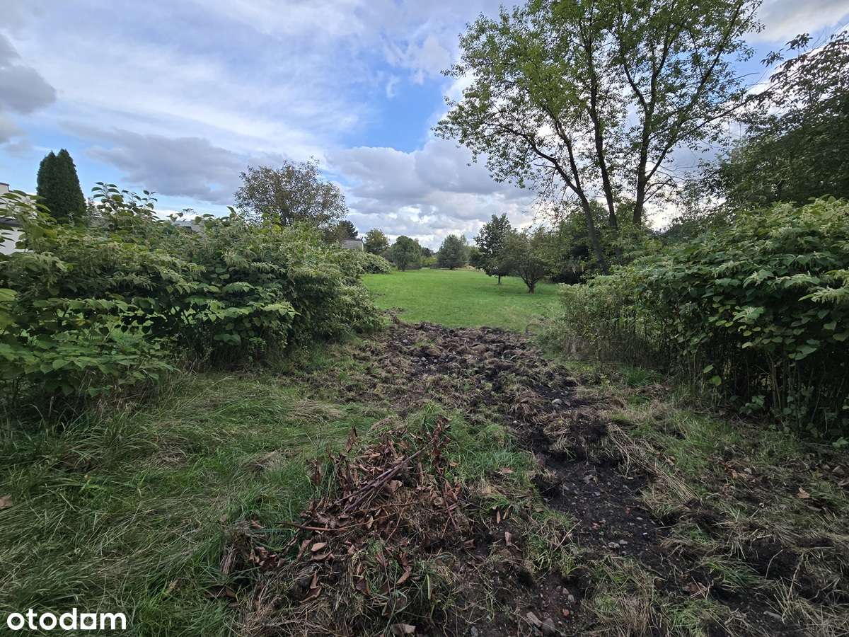 Okolica Ksawery działka budowlana - Pełny obrazek: 4/5