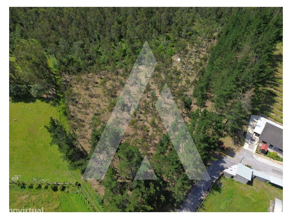 Terreno em Serém de Cima, Macinhata do Vouga - Grande imagem: 5/15